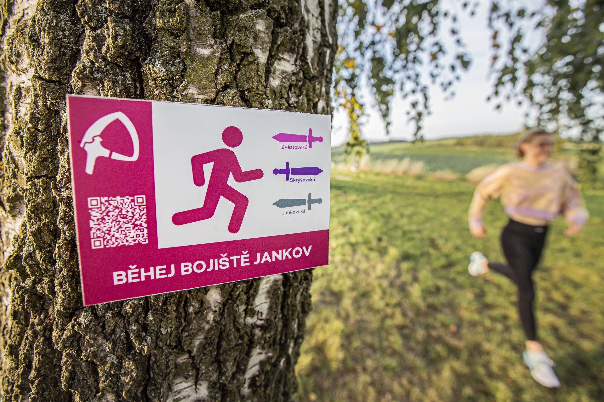 Blaník zdolej bojiště Jankov