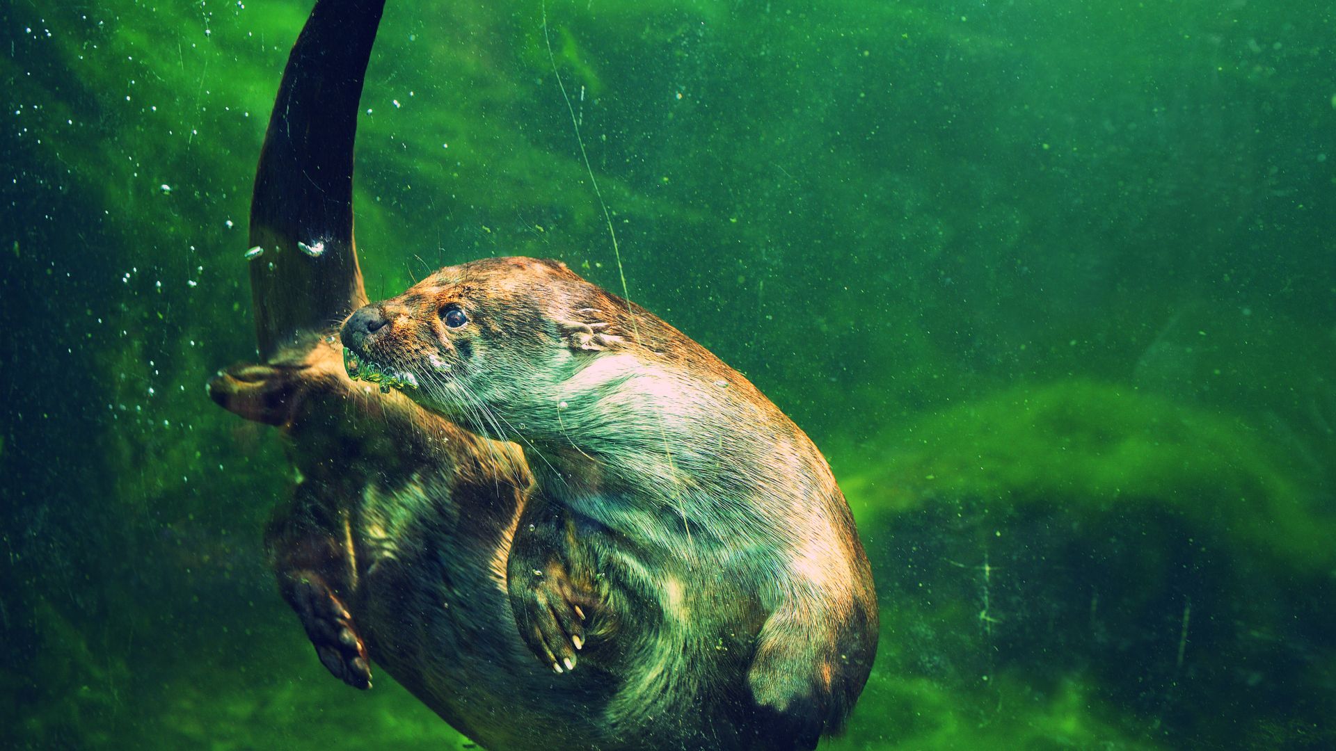 Otevíráme paraZOO - zahájení sezóny 2026