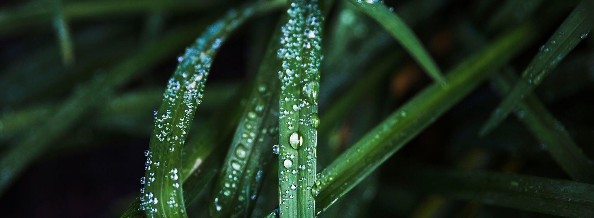 Navštivte (a podpořte nás)