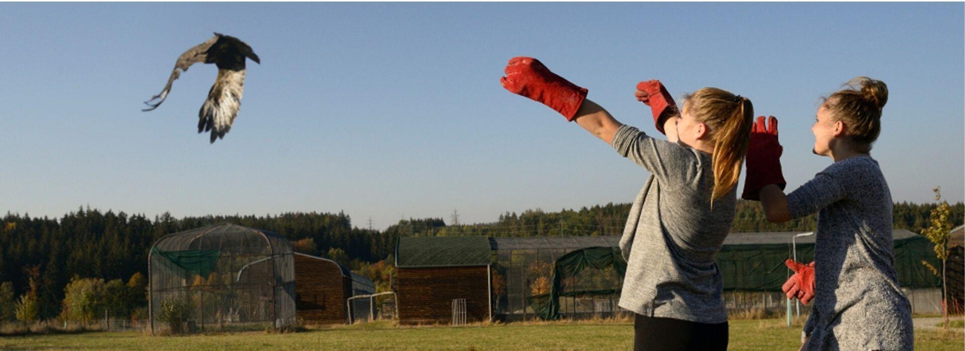 ČSOP Vlašim podpora záchranné stanice