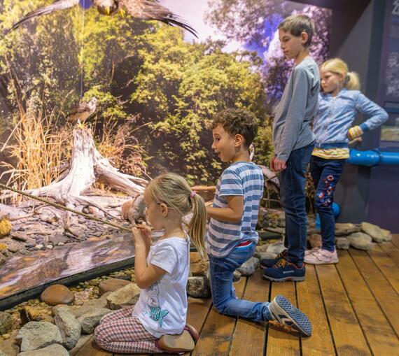 ČSOP Vodní dům mokřadní život