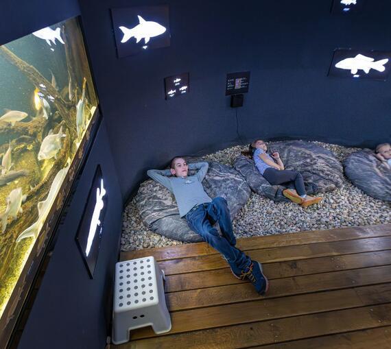 ČSOP Vodní dům pod hladinou