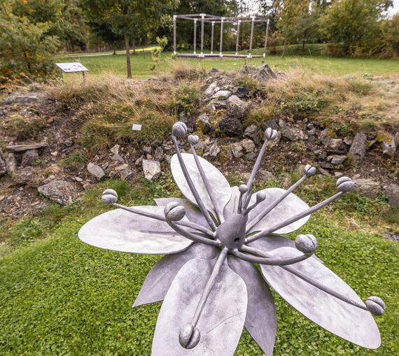 ČSOP Vodní dům hadcová skalka s kuřičkou