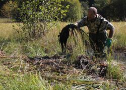 ČSOP Vlašim lokality Podlesí