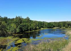ČSOP Vlašim Jinošovské údolí