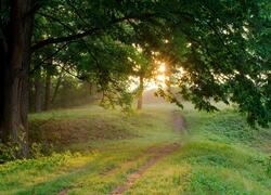 ČSOP Vlašim Jinošovské údolí