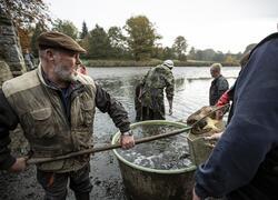 ČSOP Vlašim Jinošovské údolí