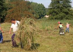 ČSOP Vlašim Jinošovské údolí