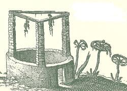 ČSOP Vlašim Na Spravedlnosti