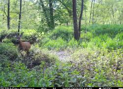 ČSOP Vlašim Znosim