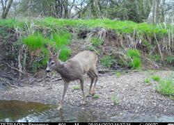 ČSOP Vlašim Znosim