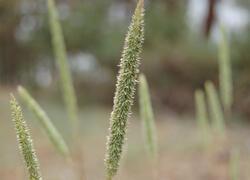 ČSOP Vlašim Hrnčíře