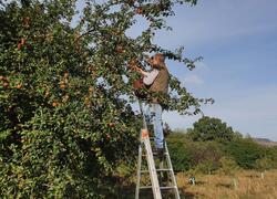 ČSOP Vlašim Jetřichovice