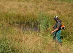 ČSOP Vlašim Na Kačíně