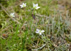 ČSOP Vlašim Hrnčíře