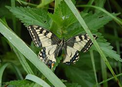 ČSOP Vlašim Křivsoudov