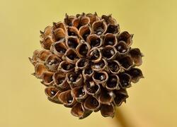 ČSOP Vlašim Losiny