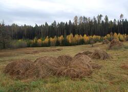 ČSOP Vlašim Slavětín