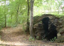 ČSOP Vlašim Vorlina