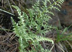 ČSOP Vlašim Hrnčíře