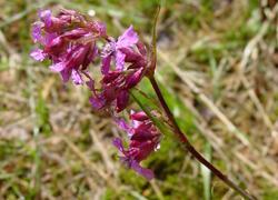 ČSOP Vlašim Hrnčíře