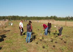 ČSOP Vlašim Býkovice