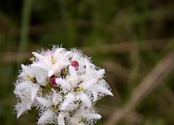 ČSOP Vlašim Křivsoudov