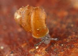 ČSOP Vlašim Jehliště