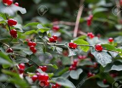 ČSOP Vlašim Chabeřice