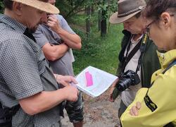 ČSOP Vlašim obnovuje lesní pastvu na pomoc vzácné rostliny