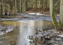 ČSOP Vlašim tůně Veliš