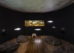 Vodní dům pronájem areálu