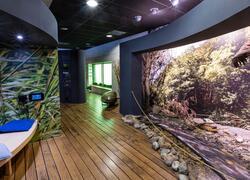 Vodní dům pronájem areálu