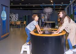 Vodní dům pronájem areálu