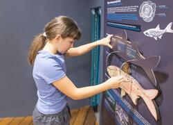 ČSOP Vlašim Vodní dům výukový program