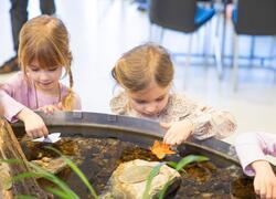 ČSOP Vlašim Vodní dům výukový program Víla