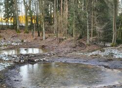 ČSOP Vlašim odborné posudky