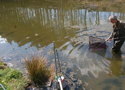 ČSOP Vlašim odborné posudky