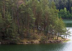 Dolnokralovické hadce