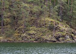 Dolnokralovické hadce