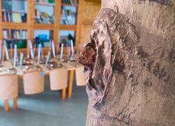 Lesní učebna Podblanického ekocentra ČSOP Vlašim