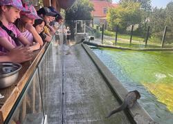 Příměstský tábor v paraZOO