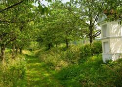 ČSOP Vlašim aleje a remízy