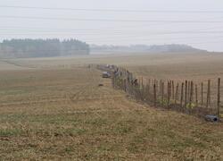 ČSOP Vlašim aleje a remízy