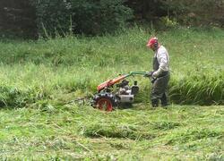 ČSOP Vlašim aleje a remízy