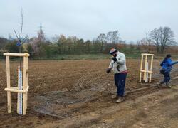 ČSOP Vlašim aleje a remízy