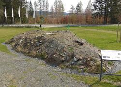 kuřička hadcová skalka