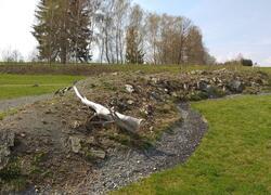 kuřička hadcová skalka