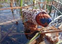 Vodní dům Den Země