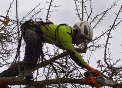 ČSOP Vlašim sad Jetřichovice